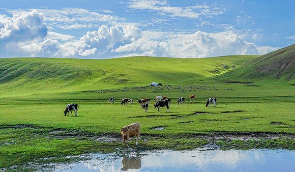 中國食品報(bào)丨探尋“四季南山”背后的“品質(zhì)密碼